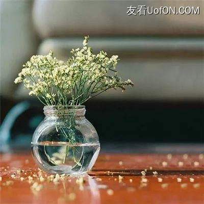 天剑狂刀传手游下载